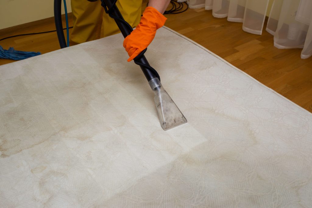 Professionally Cleaning A Mattress in Billings, Montana